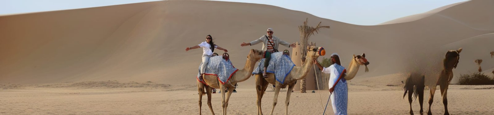سفاري الصحراء المميزة في دبي
