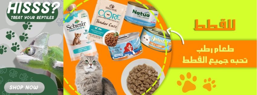 بيت زون - petzone